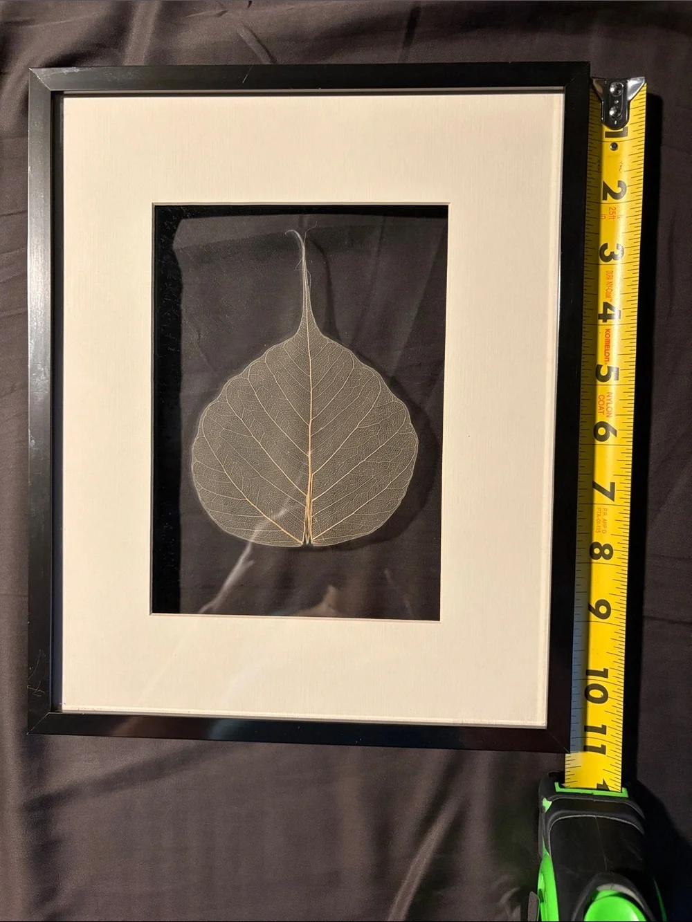 Neutral Skeleton Leaf Framed Wall Art - Set of 2